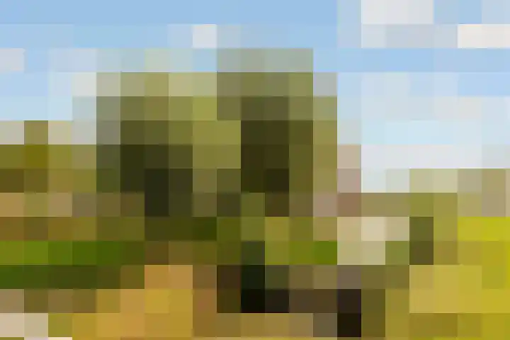 Edelsteen 9 Houten thumbnail 62