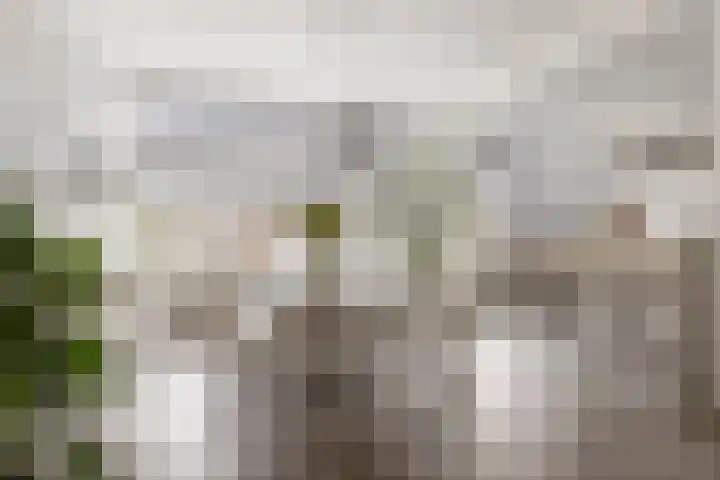Edelsteenlaan 13 Groningen thumbnail 10