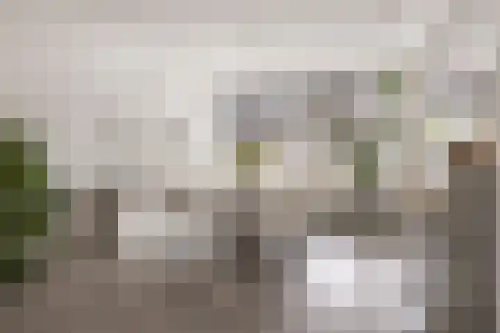 Edelsteenlaan 13 Groningen thumbnail 11