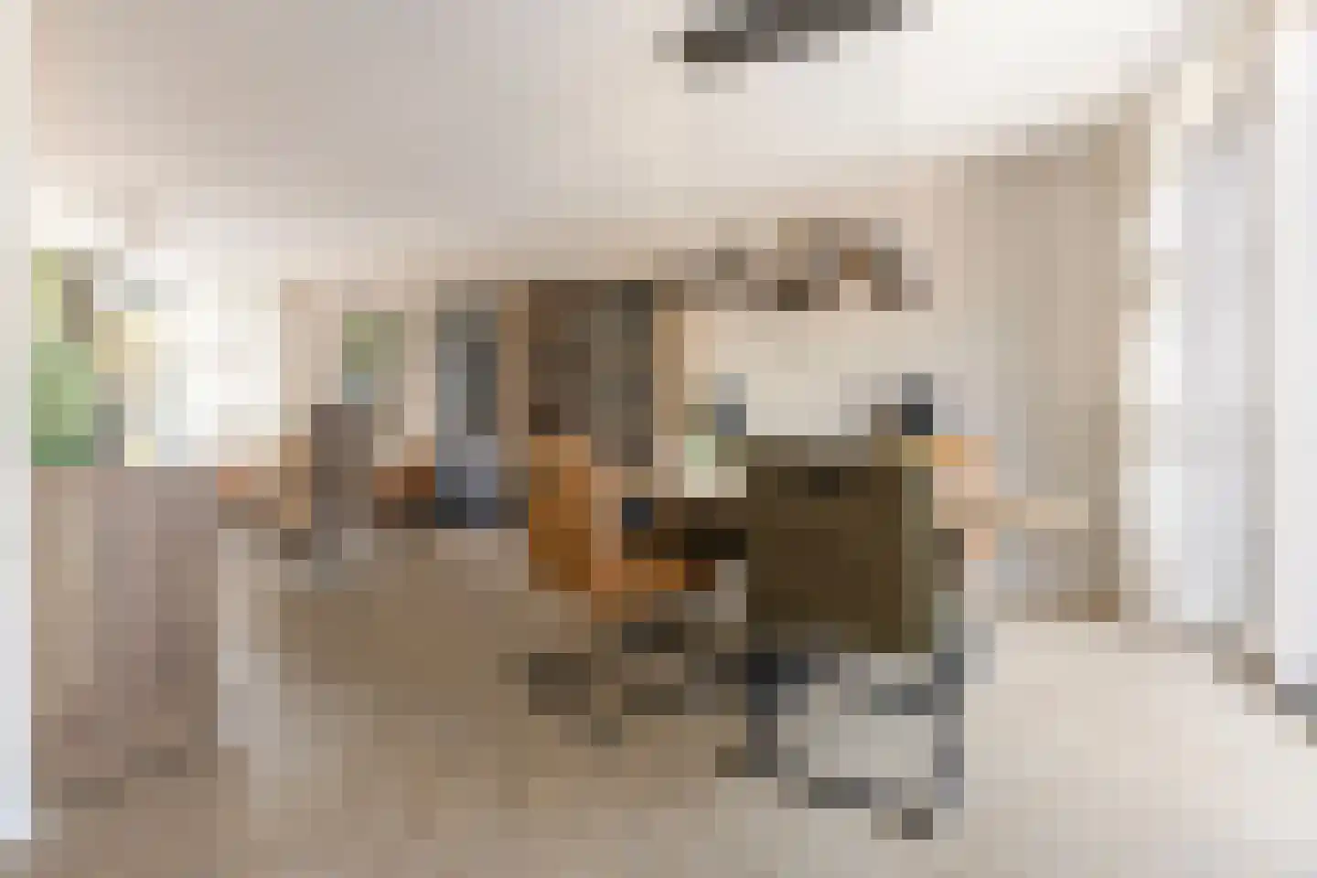 Edelsteenlaan 13 Groningen thumbnail 12