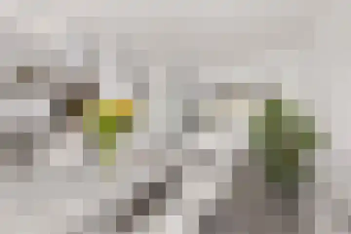 Edelsteenlaan 13 Groningen thumbnail 13