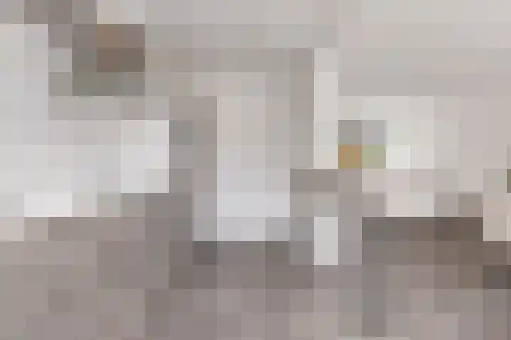Edelsteenlaan 13 Groningen thumbnail 14