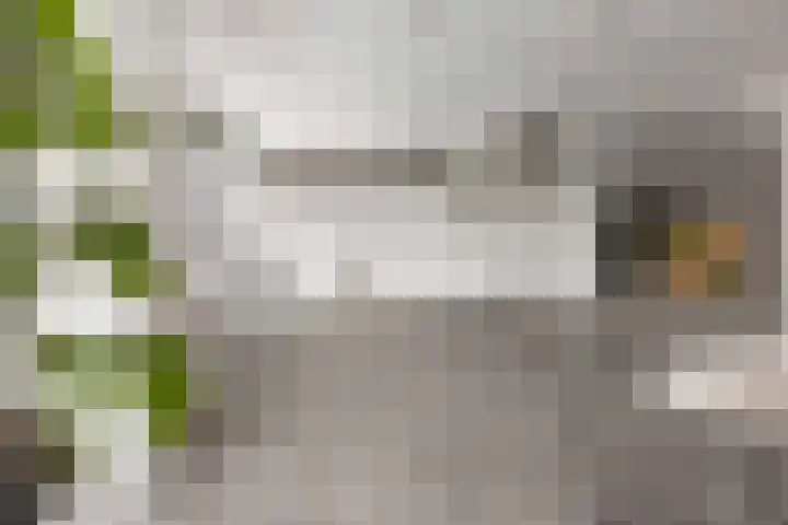 Edelsteenlaan 13 Groningen thumbnail 17