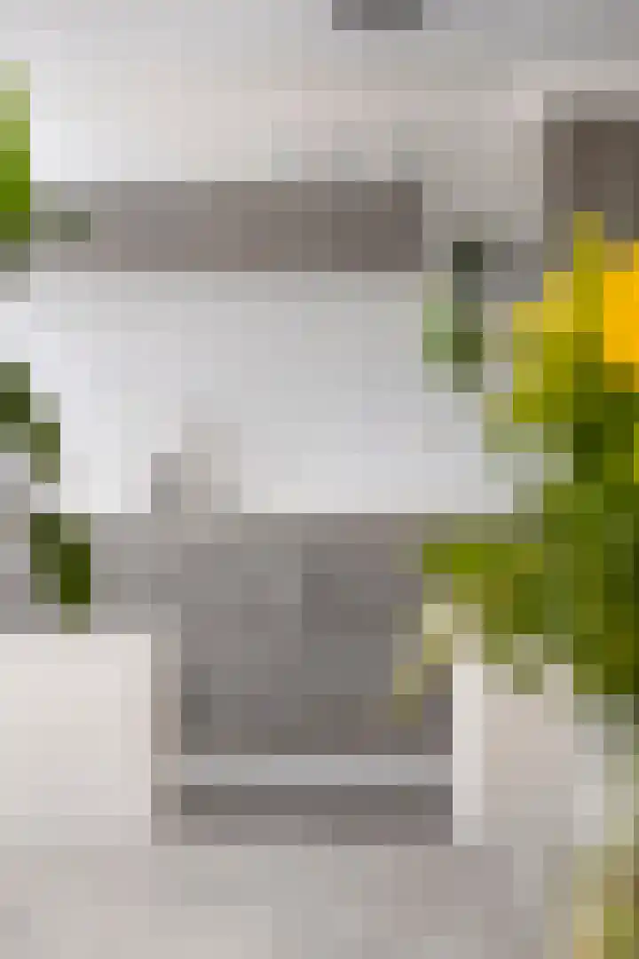 Edelsteenlaan 13 Groningen thumbnail 18