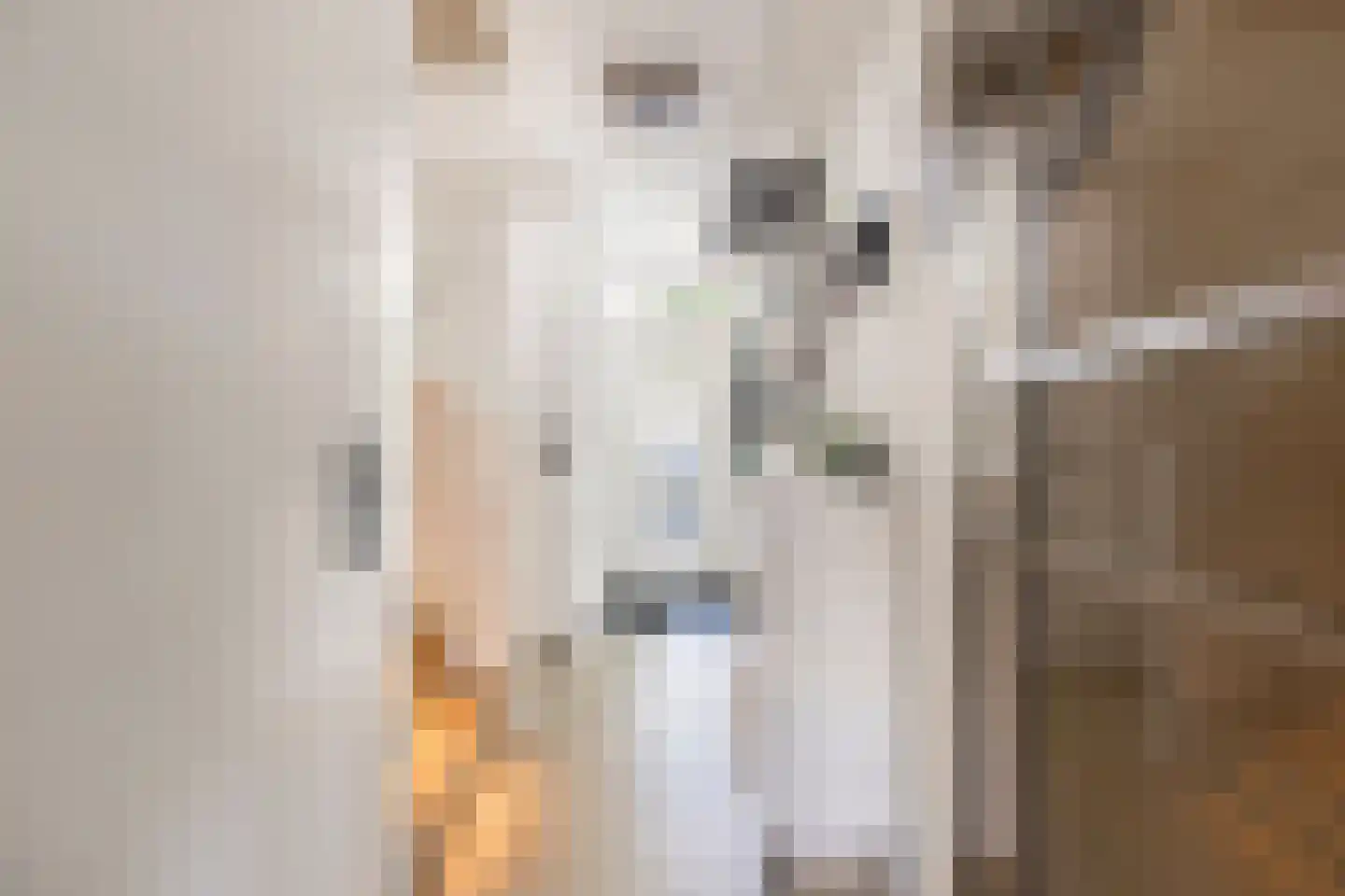 Edelsteenlaan 13 Groningen thumbnail 20