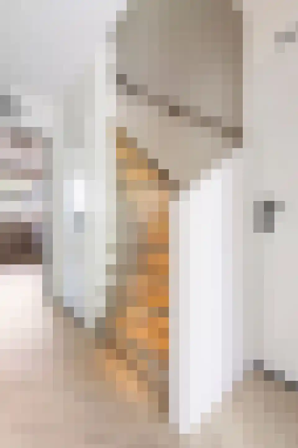 Edelsteenlaan 13 Groningen thumbnail 21