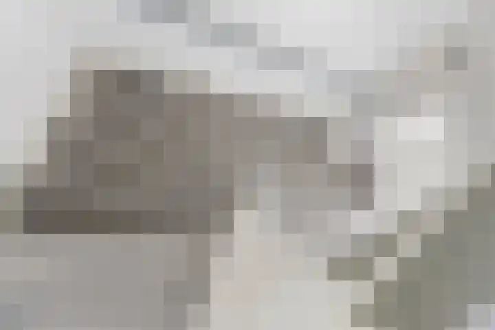 Edelsteenlaan 13 Groningen thumbnail 22