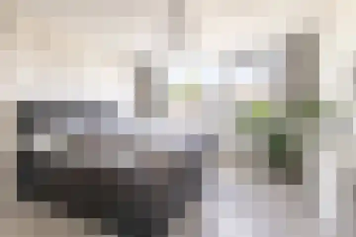 Edelsteenlaan 13 Groningen thumbnail 23