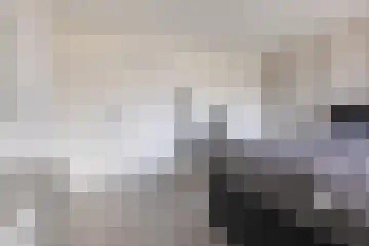 Edelsteenlaan 13 Groningen thumbnail 24