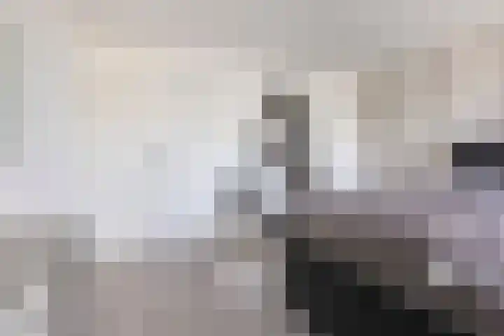 Edelsteenlaan 13 Groningen thumbnail 25