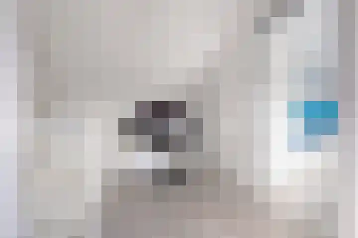 Edelsteenlaan 13 Groningen thumbnail 32