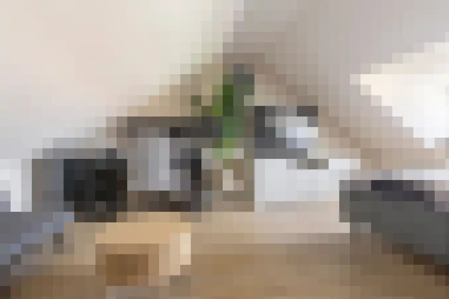 Edelsteenlaan 13 Groningen thumbnail 35