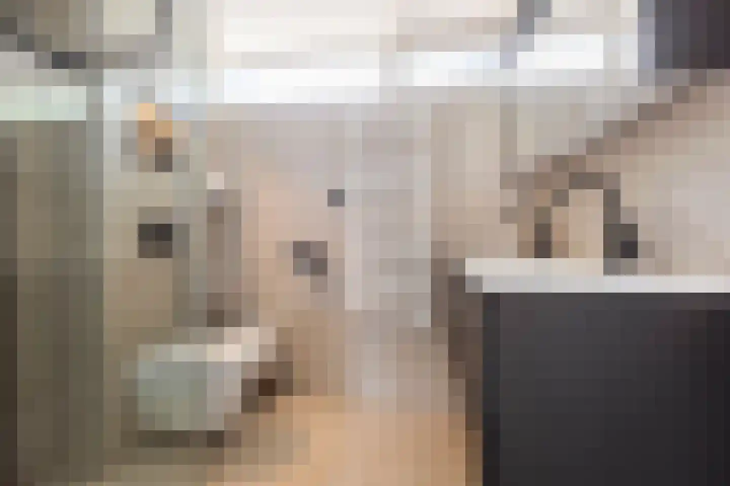 Edelsteenlaan 13 Groningen thumbnail 4