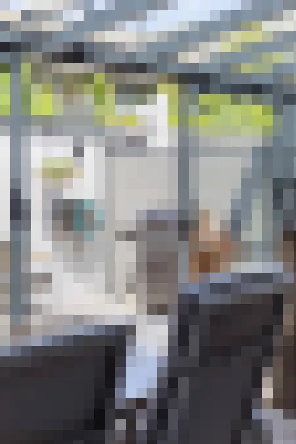Edelsteenlaan 13 Groningen thumbnail 40