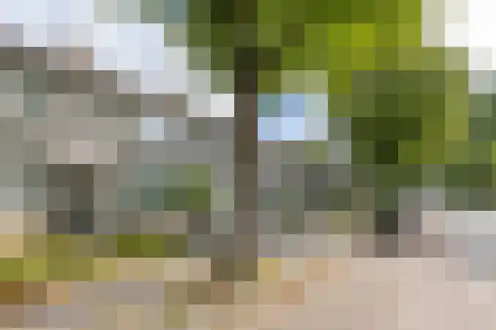 Edelsteenlaan 13 Groningen thumbnail 40