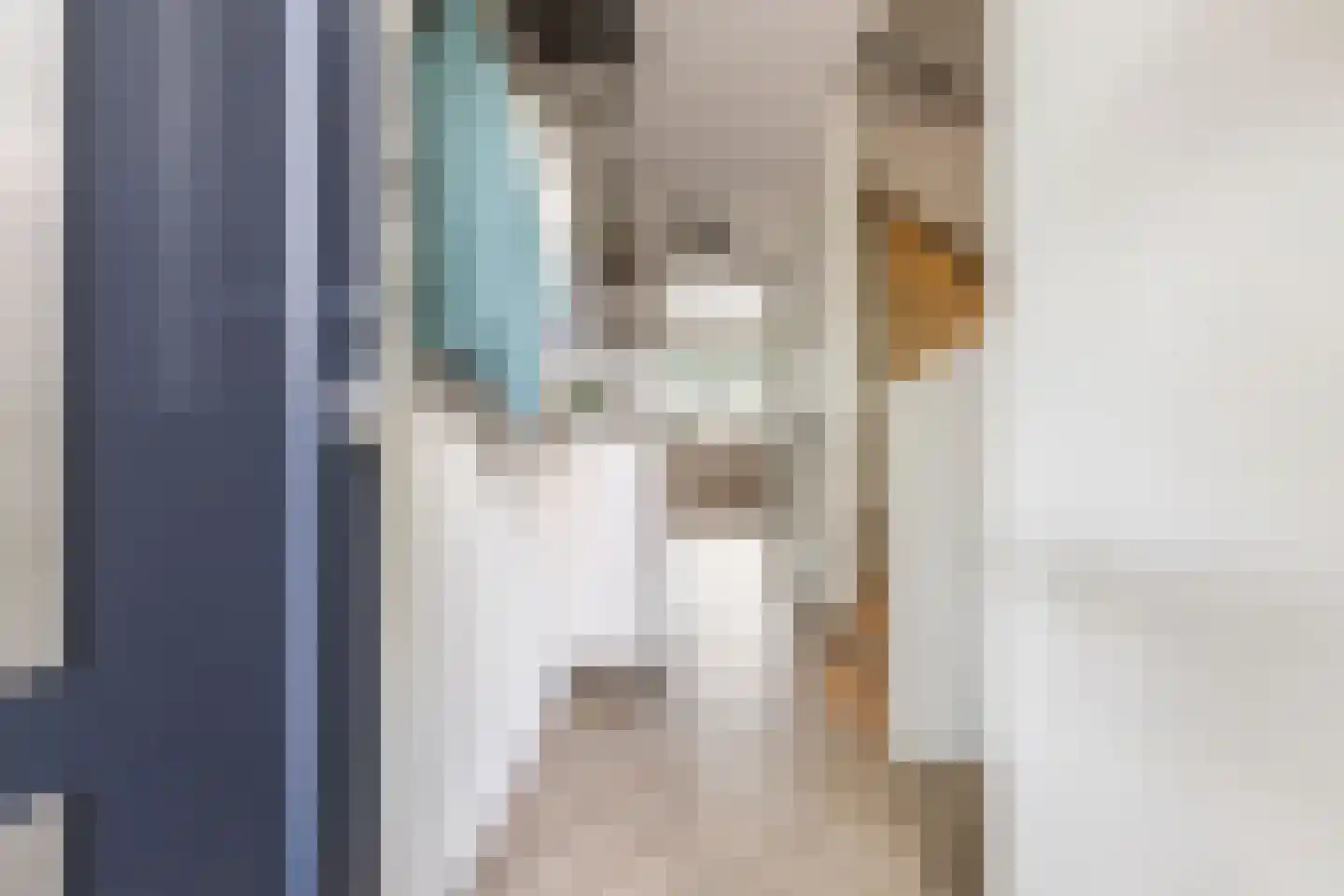 Edelsteenlaan 13 Groningen thumbnail 7
