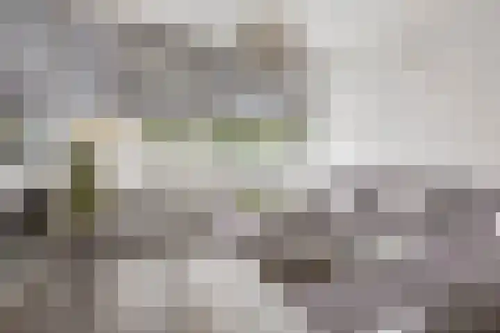 Edelsteenlaan 13 Groningen thumbnail 8
