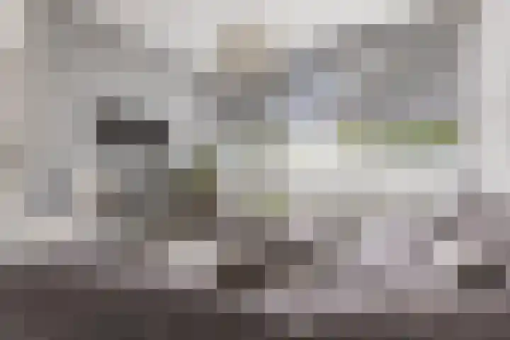 Edelsteenlaan 13 Groningen thumbnail 9