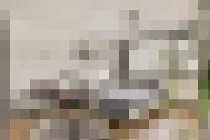 Edelsteenlaan 31 Groningen thumbnail 17