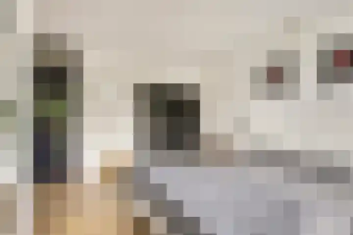 Edelsteenlaan 31 Groningen thumbnail 18