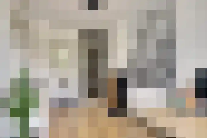 Edelsteenlaan 31 Groningen thumbnail 22