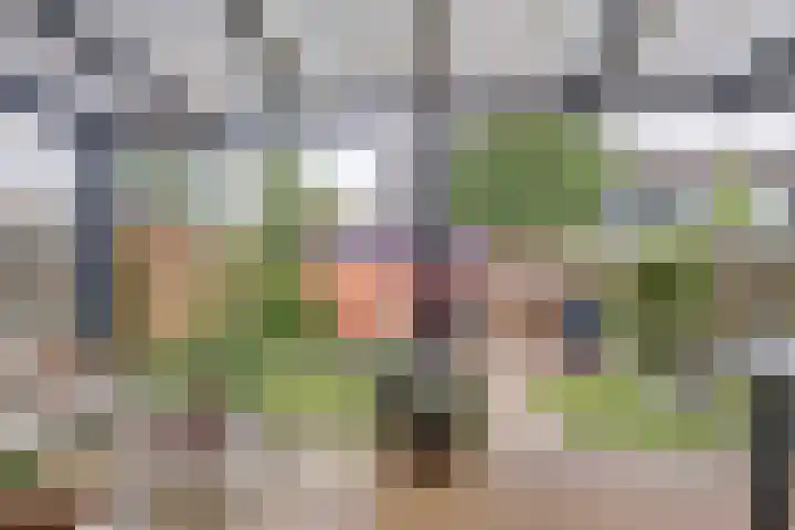 Edelsteenlaan 31 Groningen thumbnail 27