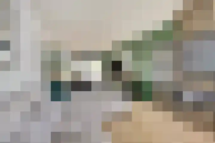 Edelsteenlaan 31 Groningen thumbnail 7