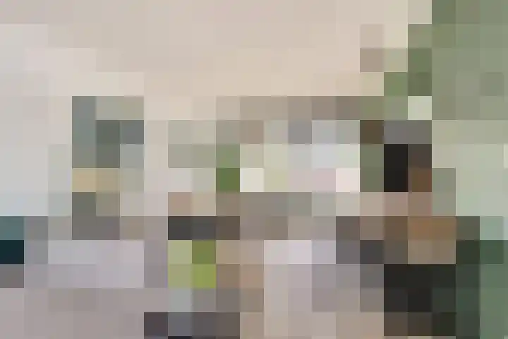 Edelsteenlaan 31 Groningen thumbnail 8