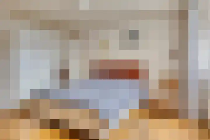 Edelsteenlaan 4 Groningen thumbnail 13