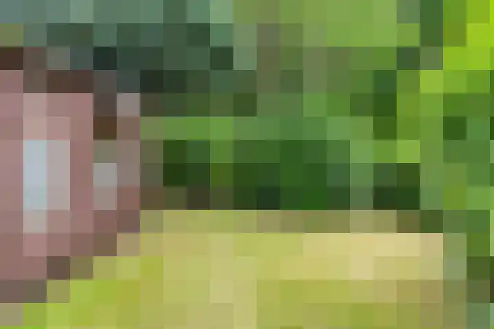Edelsteenlaan 4 Groningen thumbnail 27