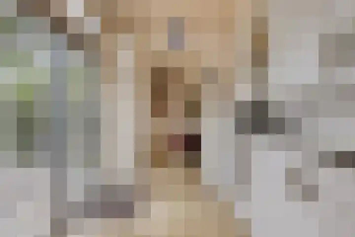 Edelsteenlaan 4 Groningen thumbnail 9