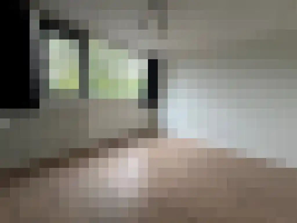 Edelsteenlaan Groningen thumbnail 4
