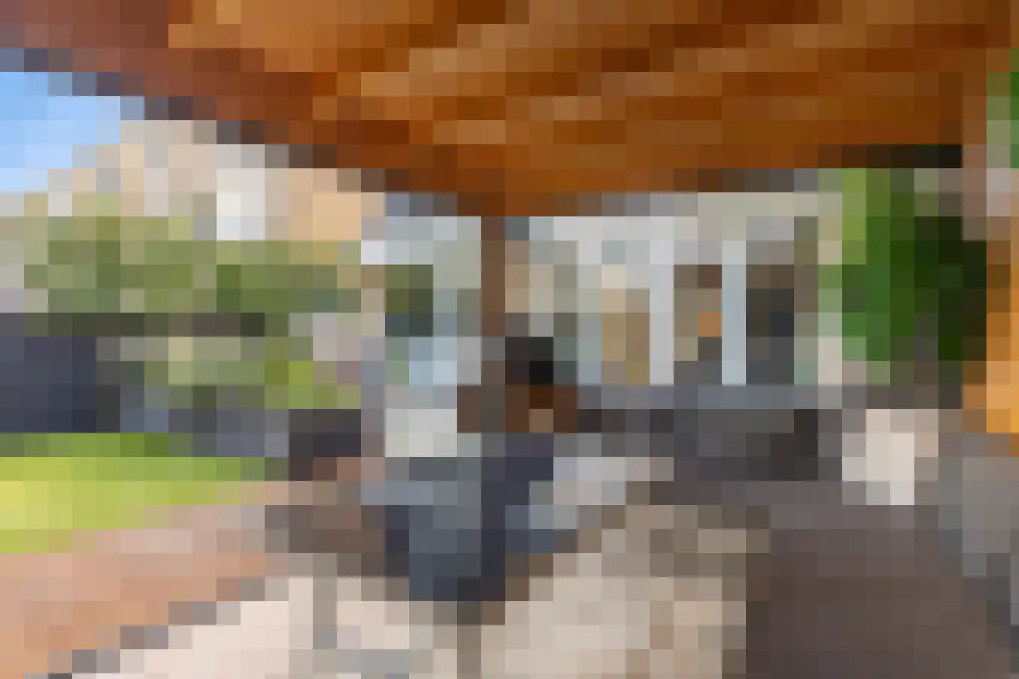 Edelsteensingel 23 Alphen aan den Rijn thumbnail 14
