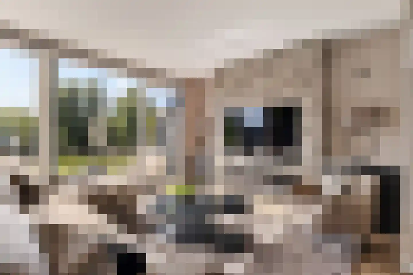 Edelsteensingel 23 Alphen aan den Rijn thumbnail 21