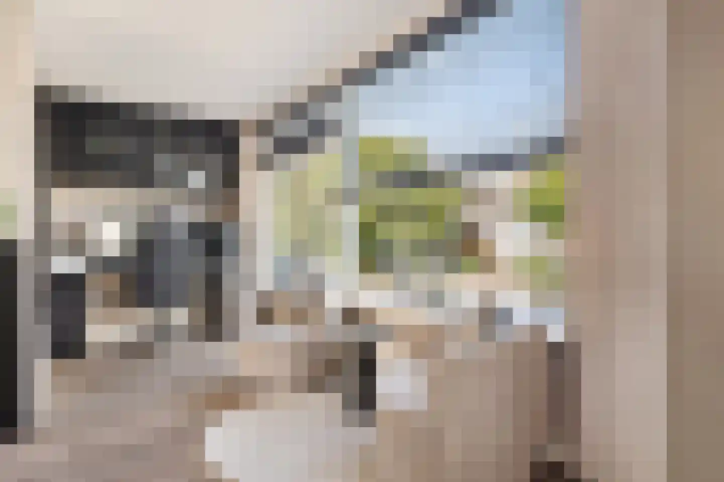 Edelsteensingel 23 Alphen aan den Rijn thumbnail 28