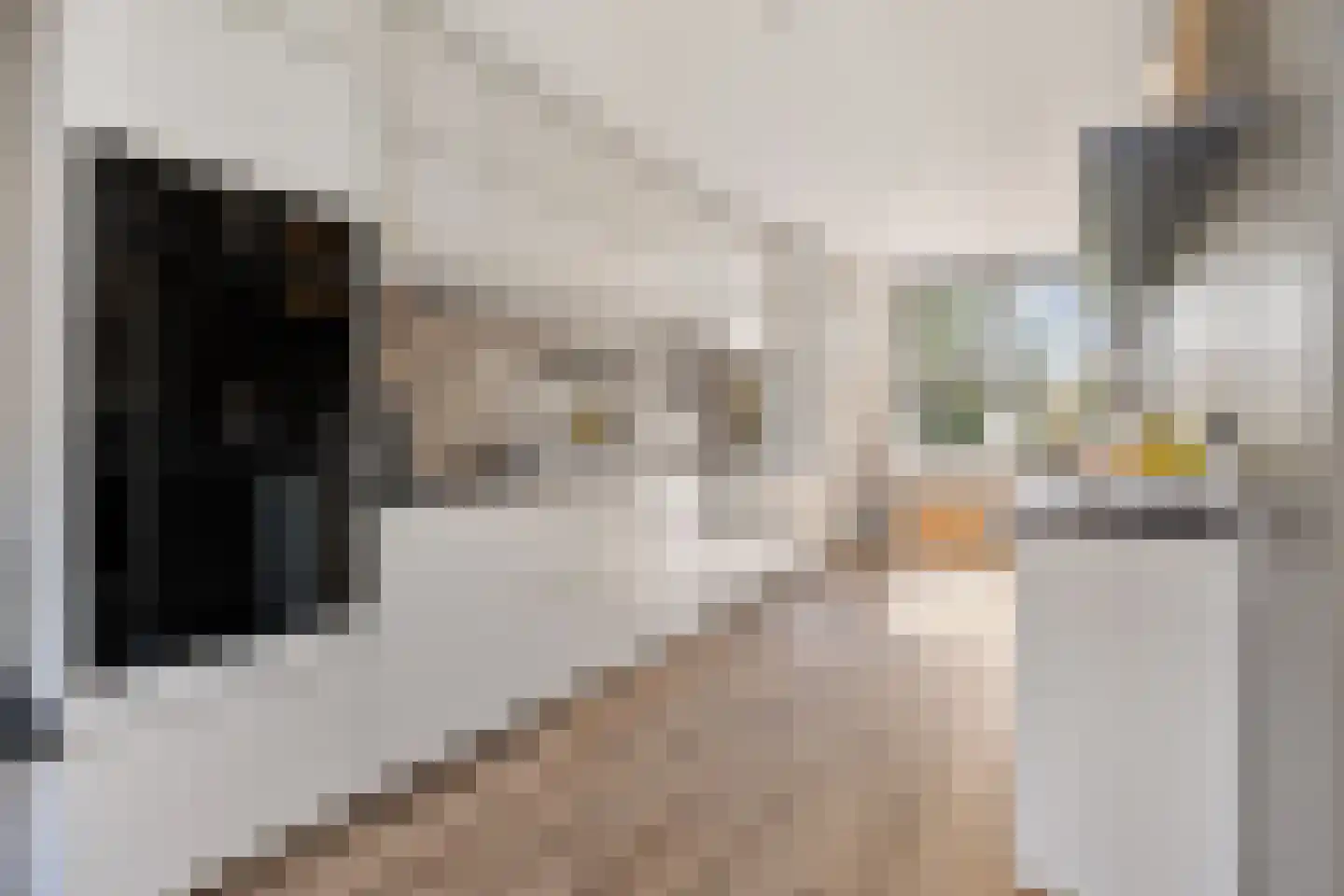 Edelsteensingel 23 Alphen aan den Rijn thumbnail 32