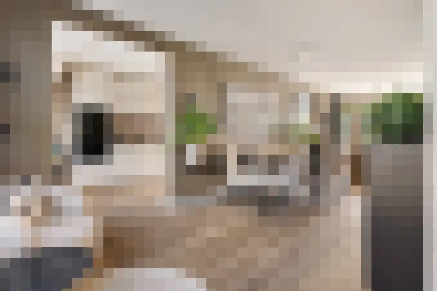 Edelsteensingel 23 Alphen aan den Rijn thumbnail 4