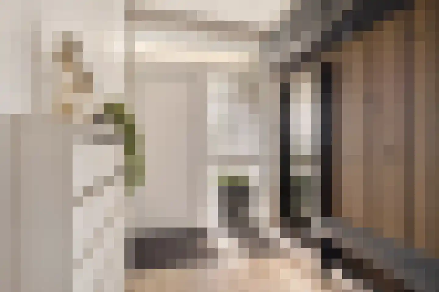 Edelsteensingel 23 Alphen aan den Rijn thumbnail 5