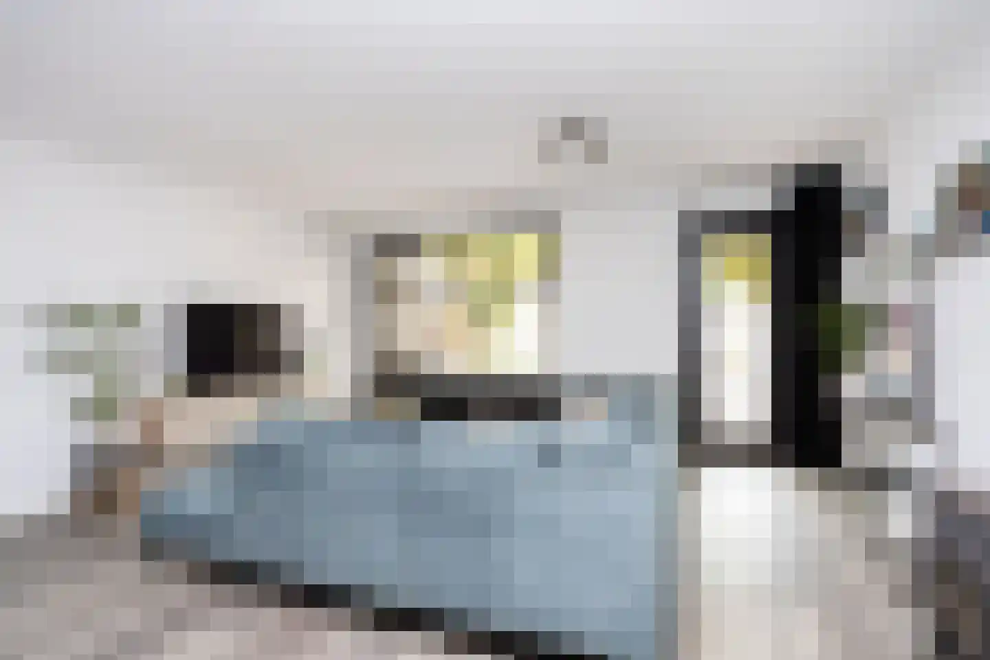 Edelsteenweg 23 Berkel en Rodenrijs thumbnail 11