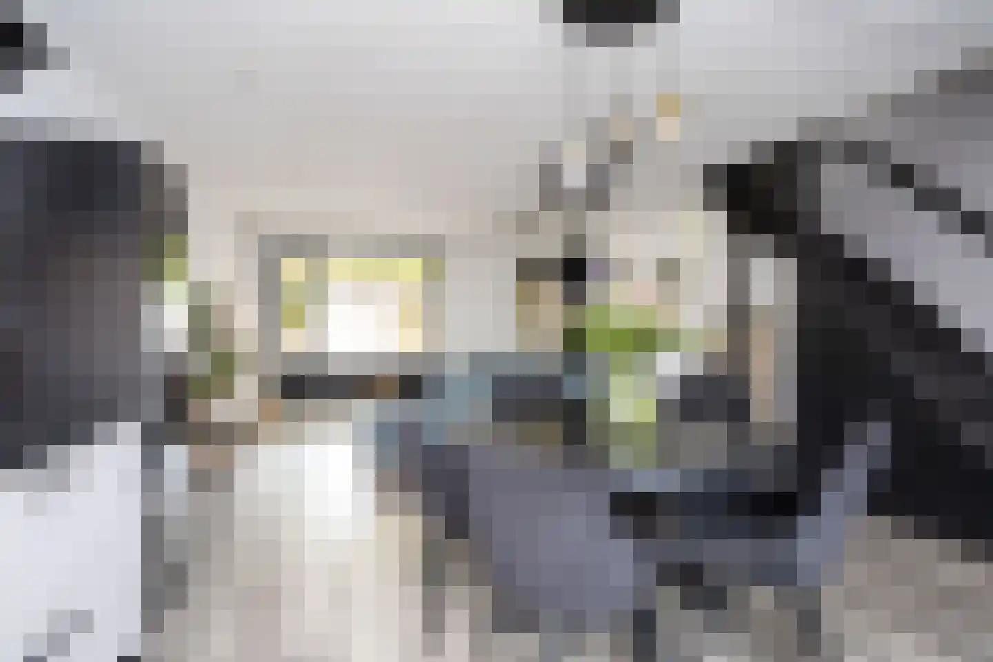 Edelsteenweg 23 Berkel en Rodenrijs thumbnail 18