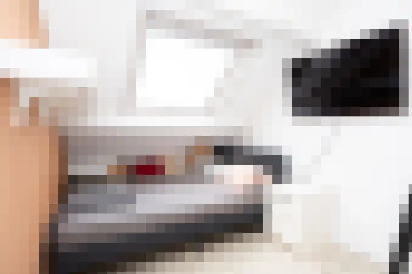 Edelsteenweg 23 Berkel en Rodenrijs thumbnail 33