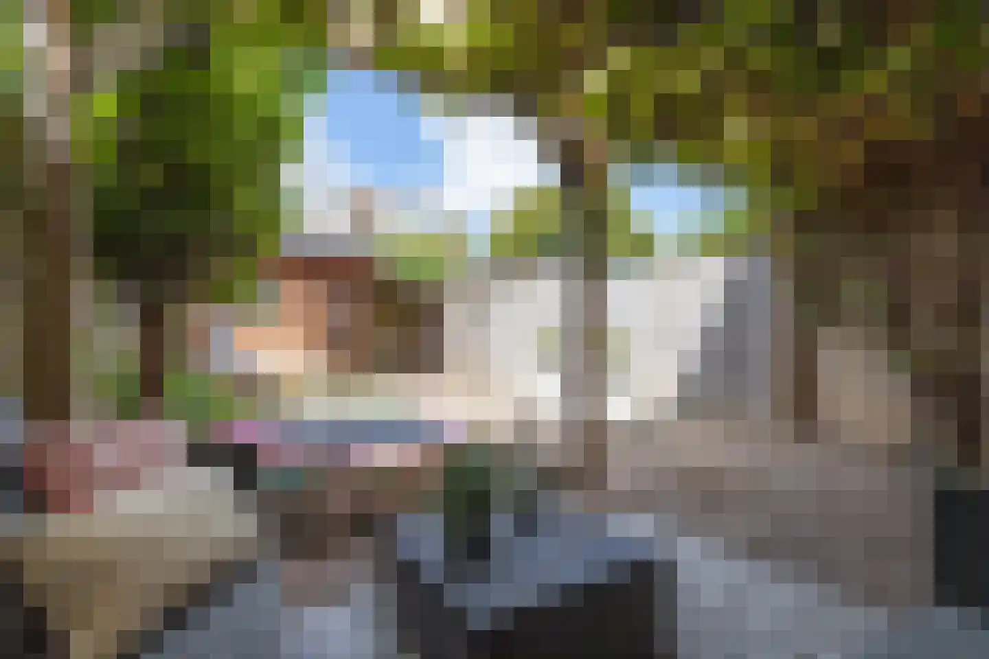 Edelsteenweg 23 Berkel en Rodenrijs thumbnail 37
