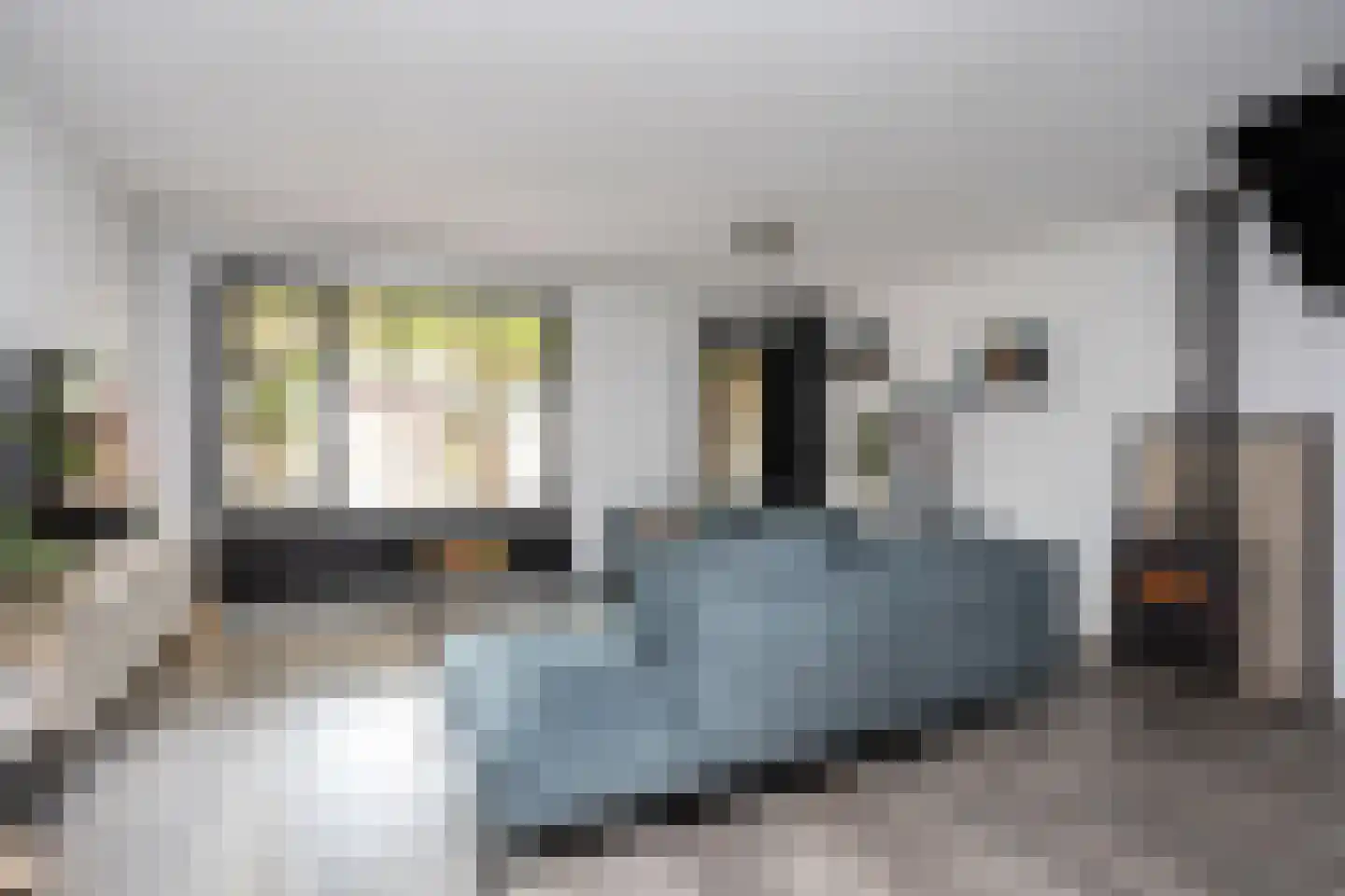 Edelsteenweg 23 Berkel en Rodenrijs thumbnail 8