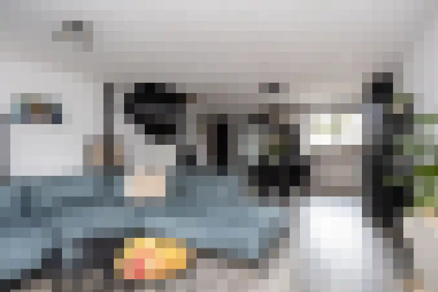 Edelsteenweg 23 Berkel en Rodenrijs thumbnail 9