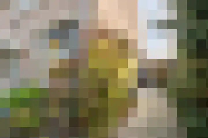 Edelstenenbaan 111 IJsselstein thumbnail 21