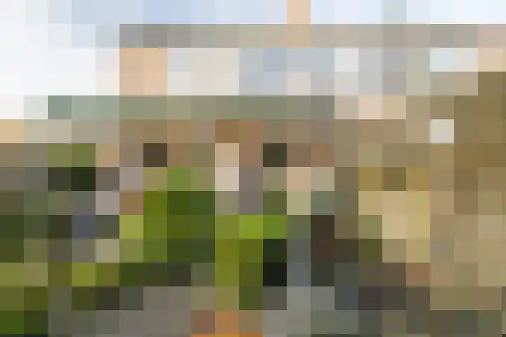 Edelstenenbaan 111 IJsselstein thumbnail 23