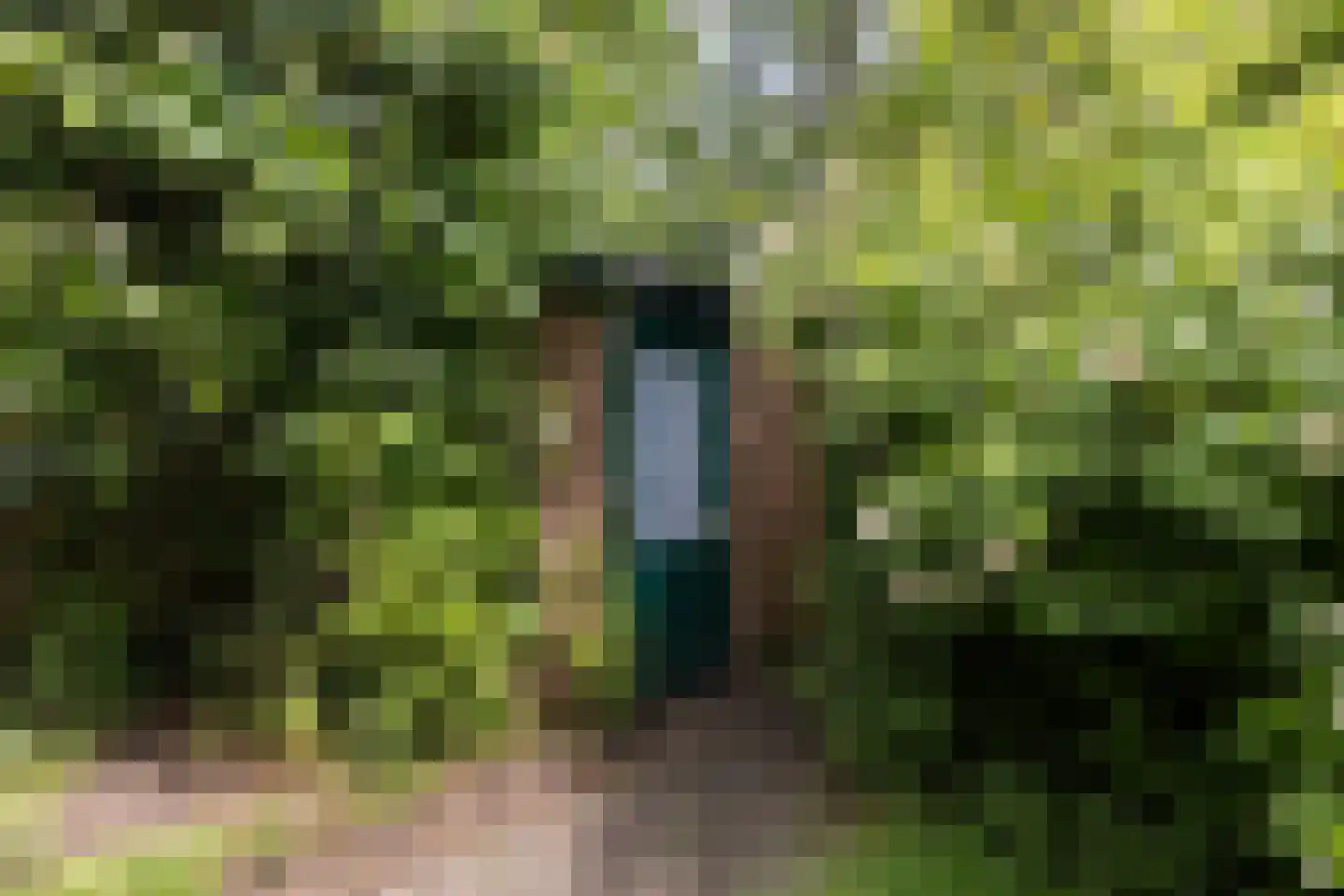 Edelstenenbaan 117 IJsselstein thumbnail 31