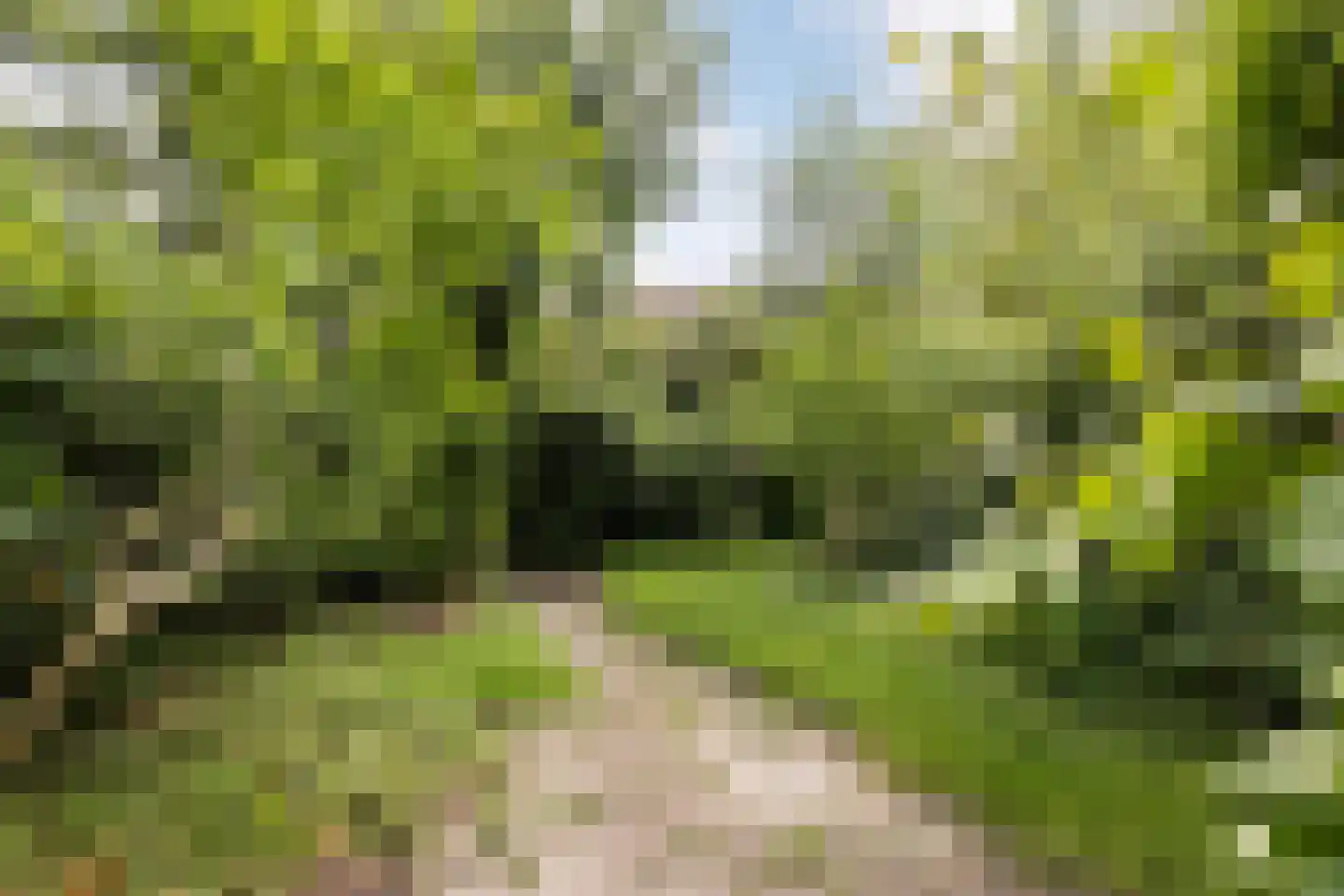 Edelstenenbaan 117 IJsselstein thumbnail 32