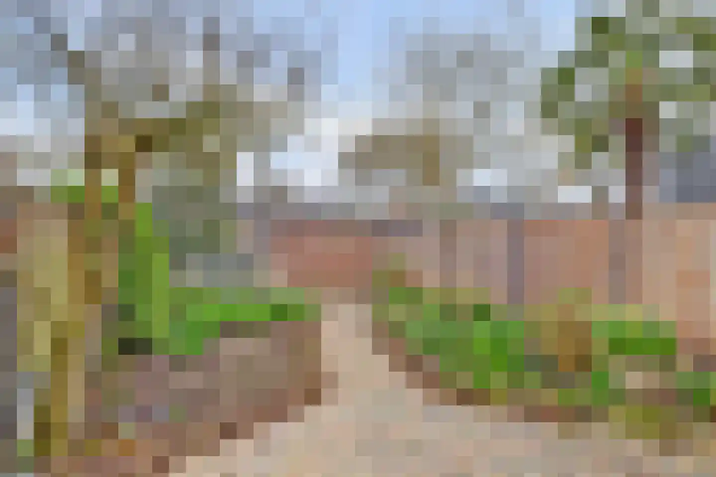 Edelstenenbaan 32 IJsselstein thumbnail 29
