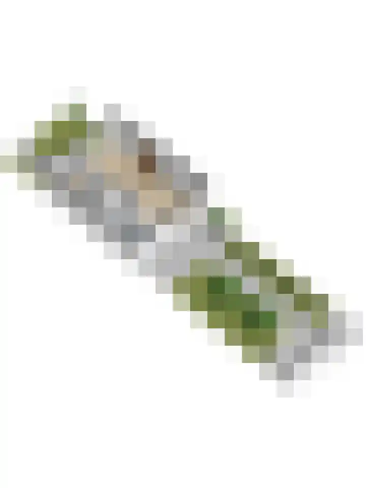 Edelstenenbaan 32 IJsselstein thumbnail 42